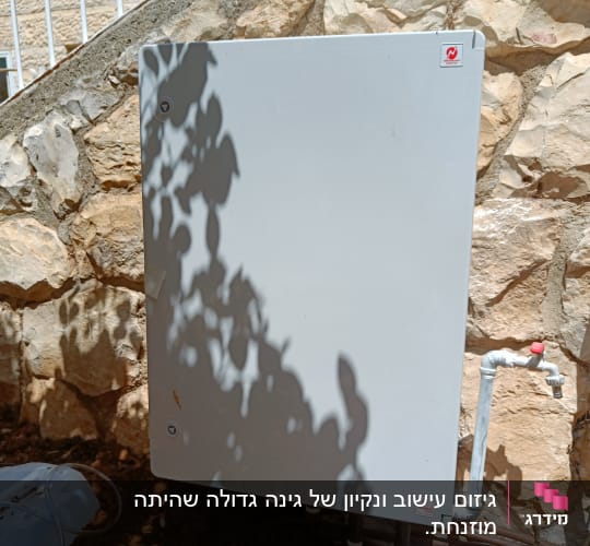 ברז מים וצינורות ליד ארון חשמל בגינה